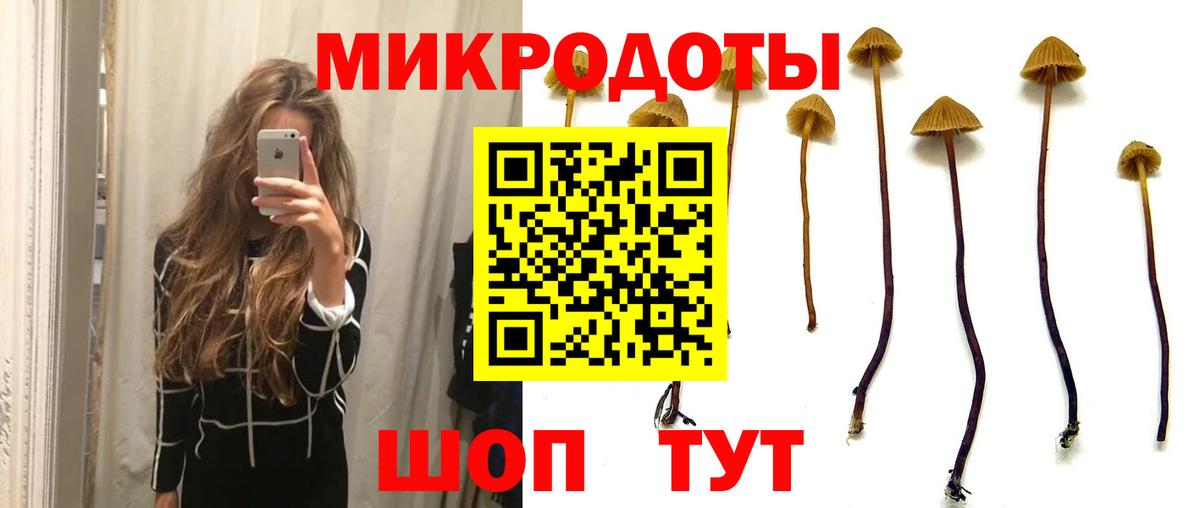 Вологда  Псилоцибиновые грибы Psilocybe  Вход с VPN 